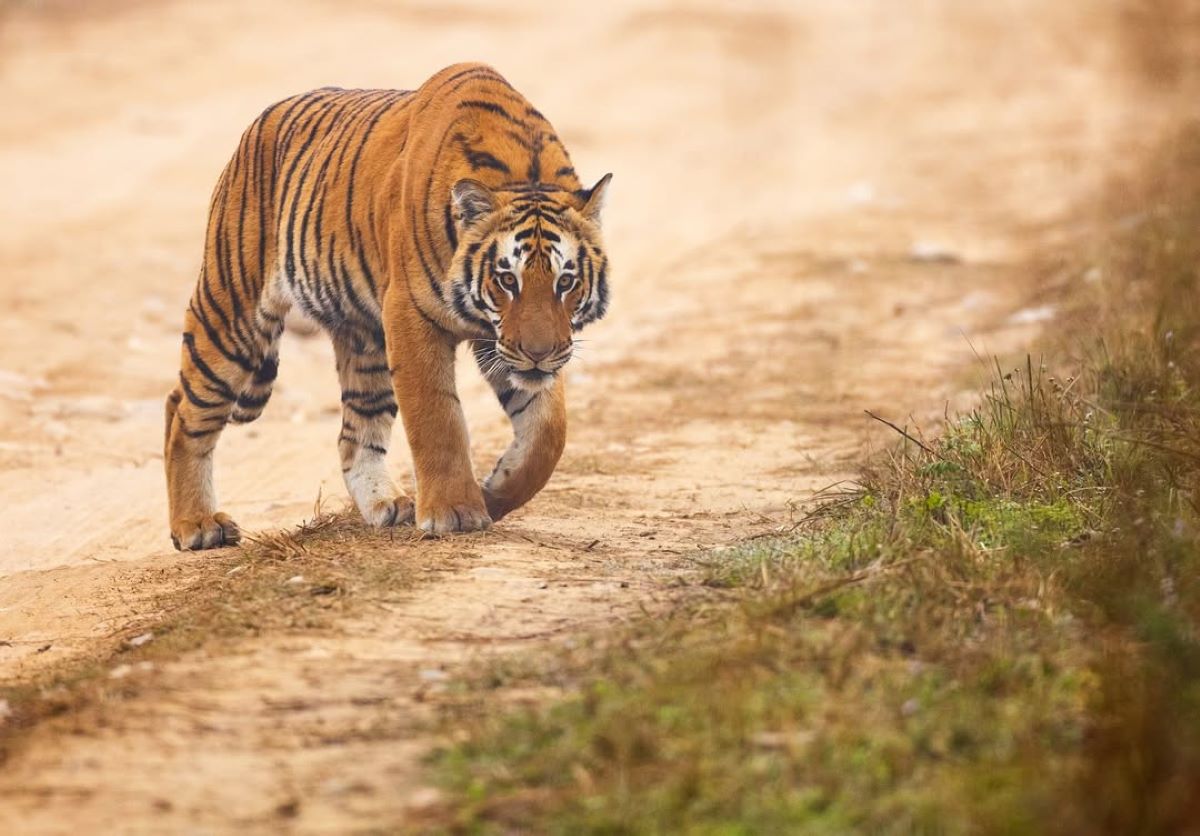 Uttarakhand Tour Gallery